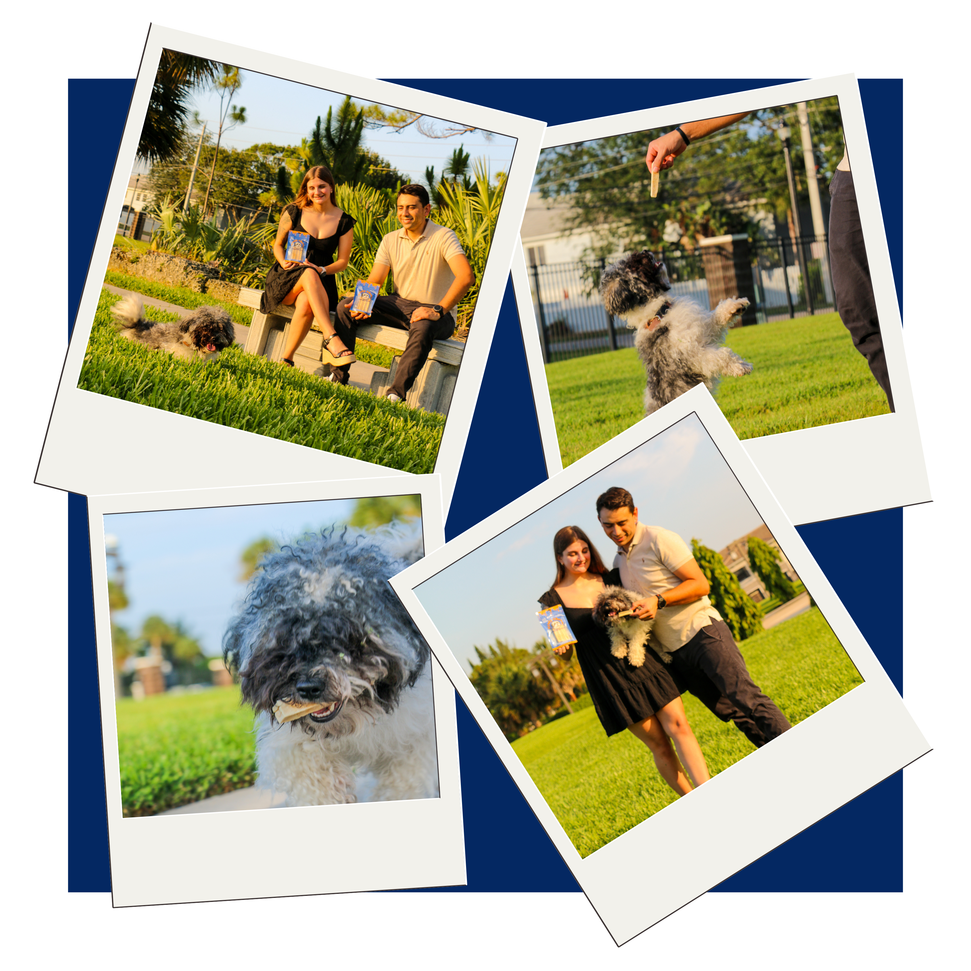 Collection of photos showing a couple with their dog in a park setting.