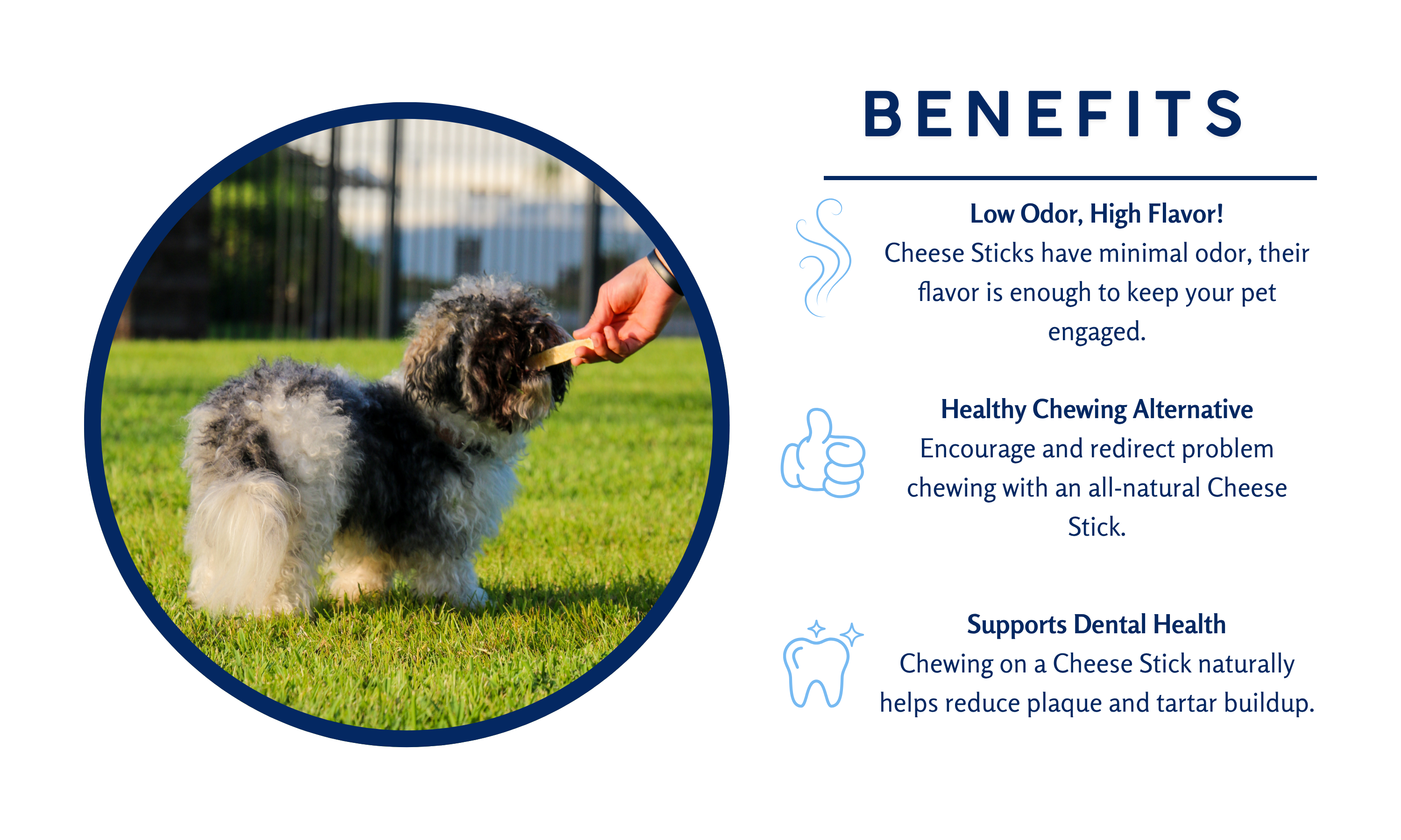Dog playing with a Cheese Stick on grass, with text about its benefits.